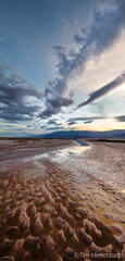 Death Valley Stream