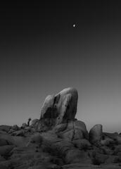 Mojave Outcrop #1