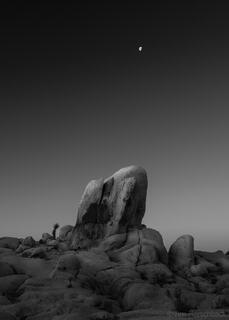 Mojave Outcrop #1